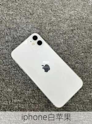 iphone白苹果